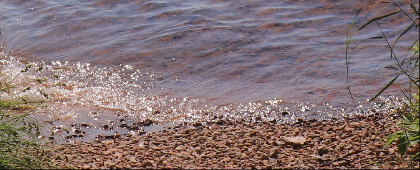 Water washing over a pebble beach.